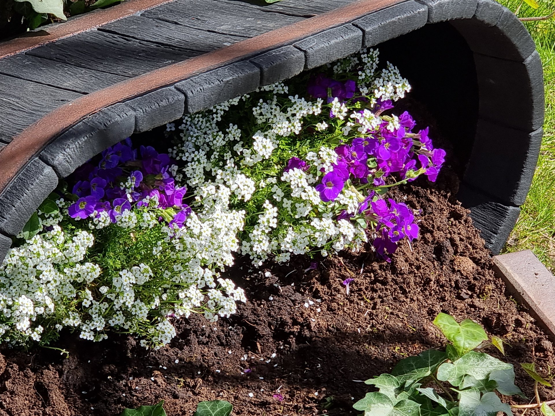 S21U_Flowerbed_5x.jpg