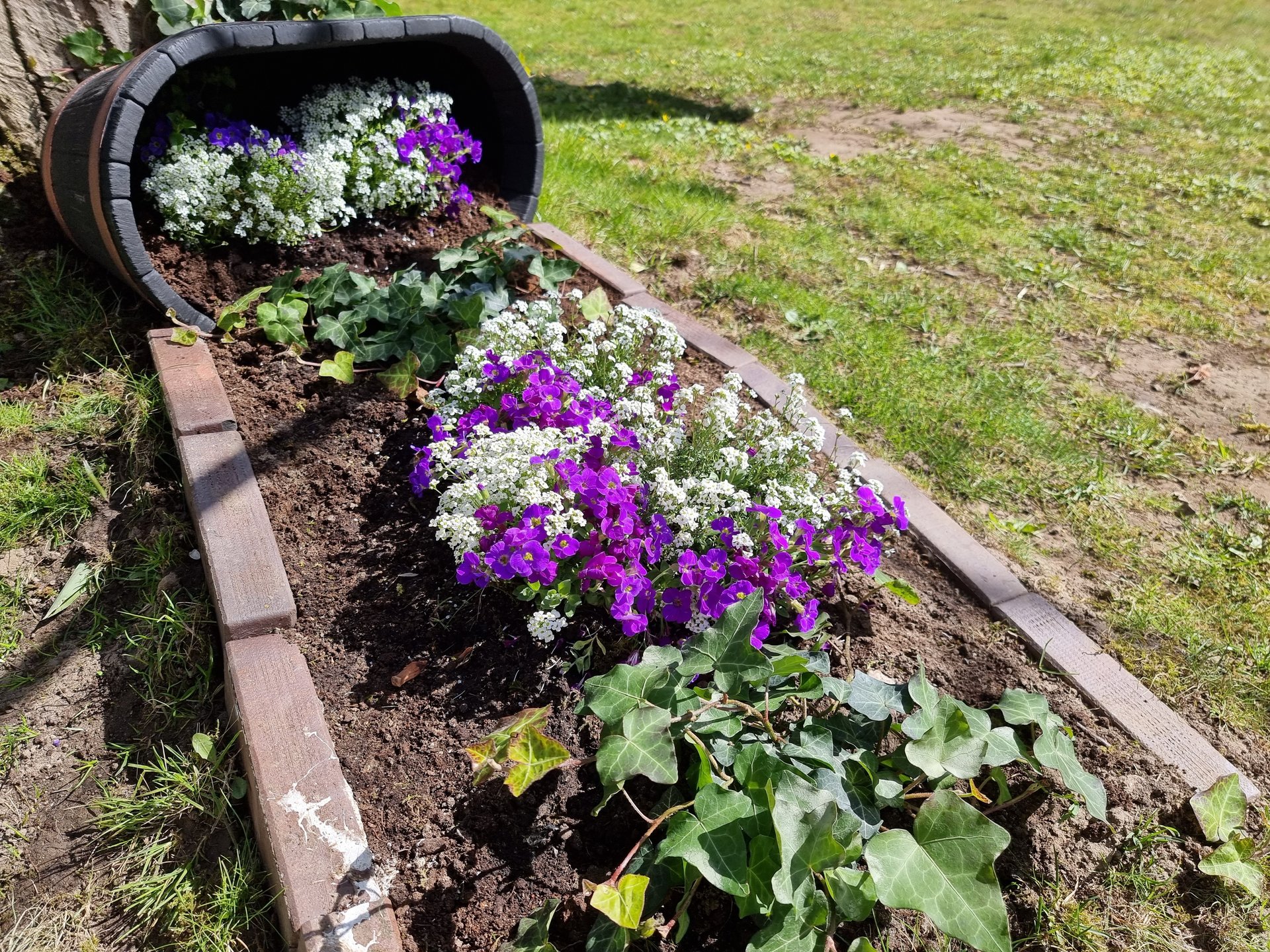 S21U_Flowerbed_Wide.jpg