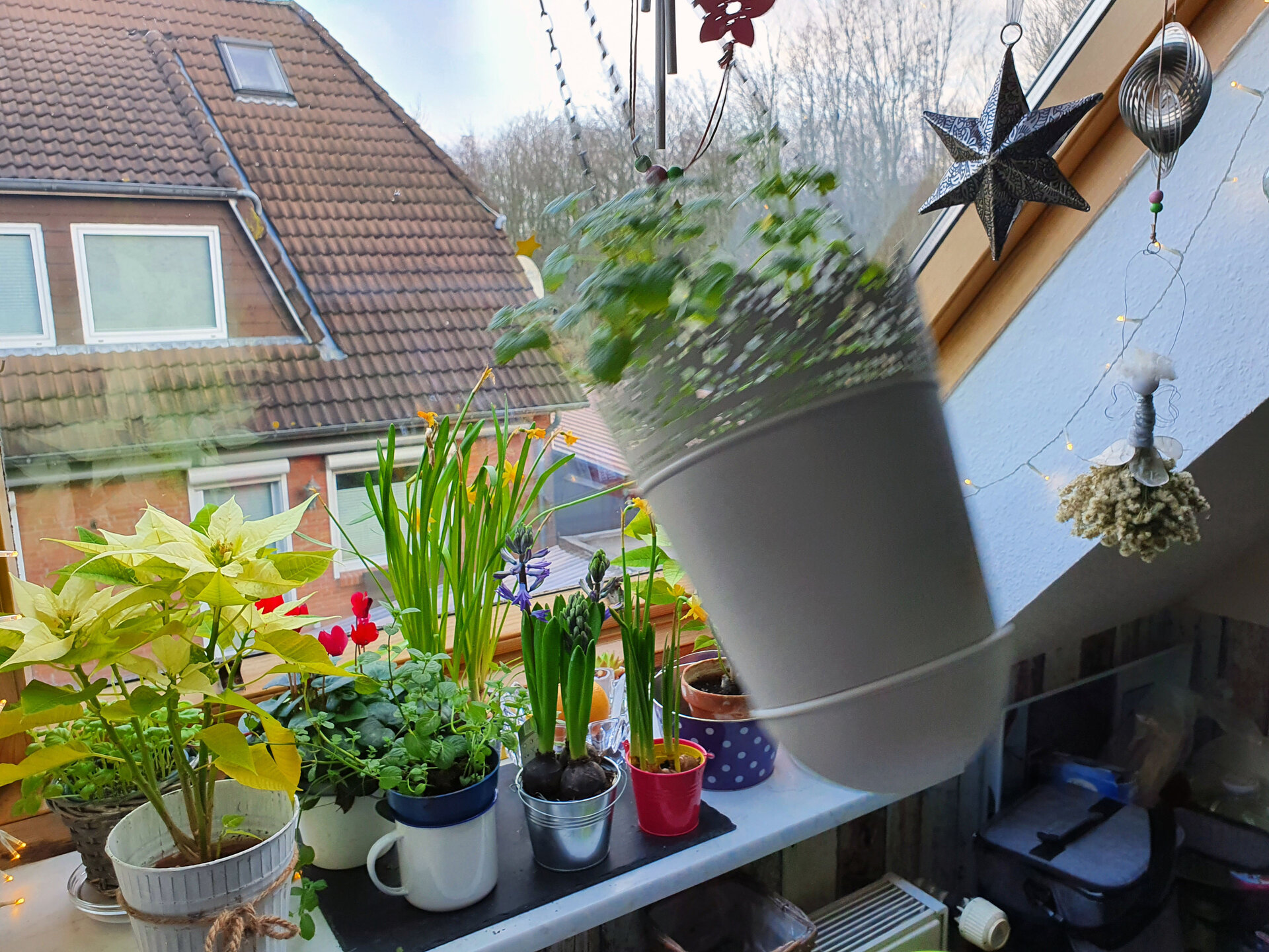 schwingender Blumentopf.jpg