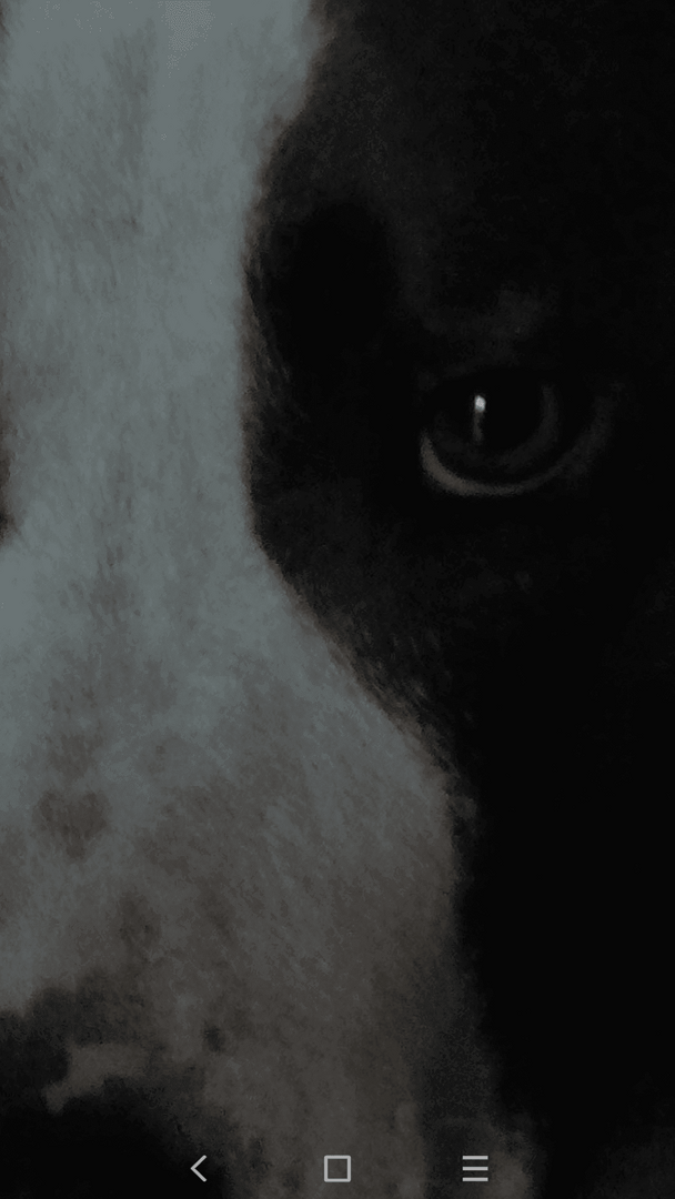 Screenshot_20170819-205337.png