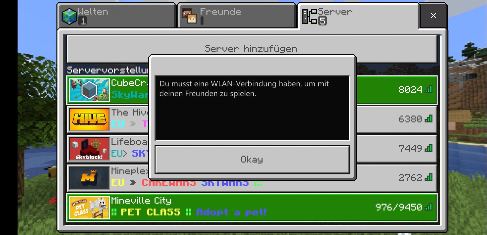 Screenshot_20200218_163544_com.mojang.minecraftpe.jpg