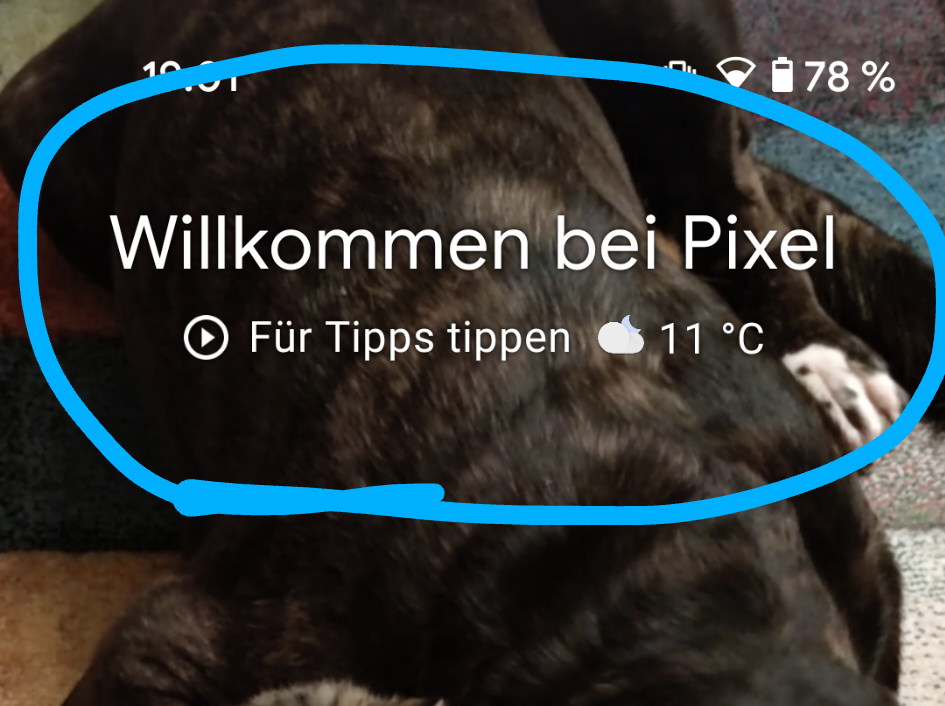 Screenshot_20210220-190126.png