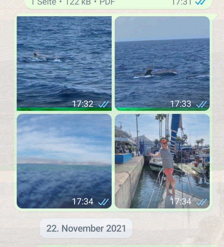 Screenshot_20211124-153857_WhatsApp.jpg