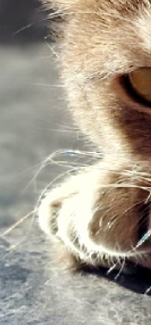 Screenshot_20220311-164222_Gallery.jpg