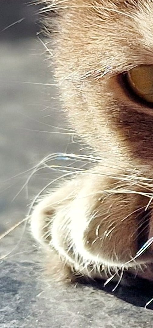 Screenshot_20220311-164233_Gallery.jpg