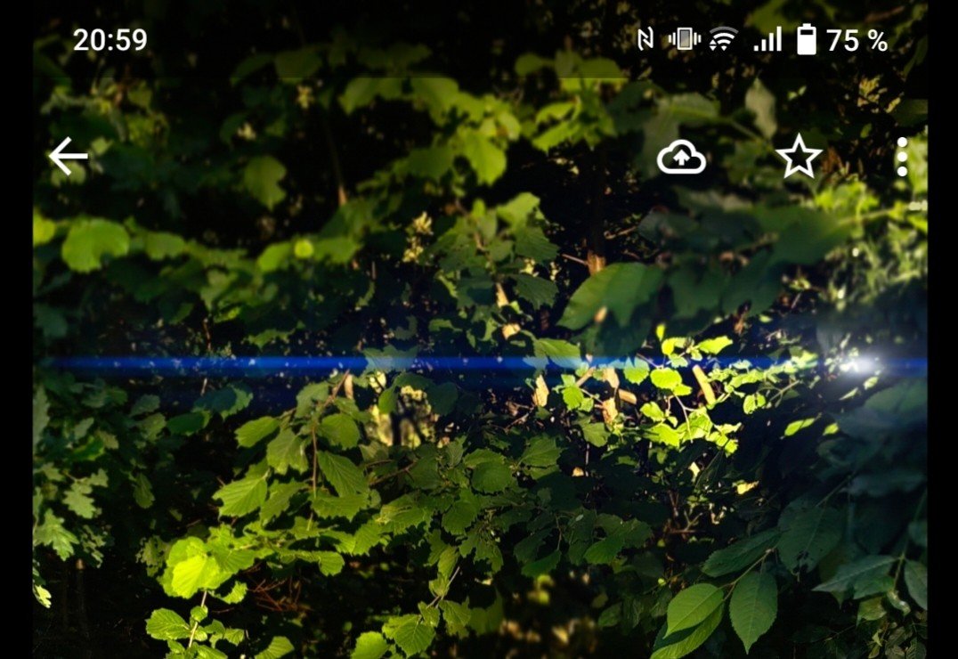 Screenshot_20220625_205941.jpg