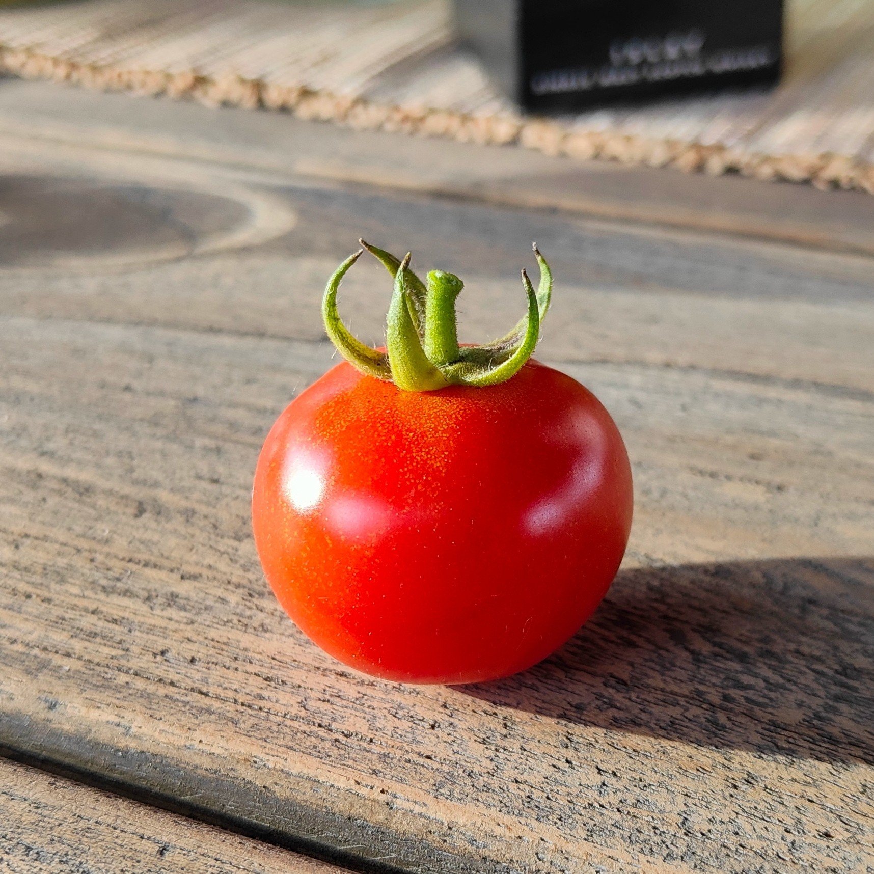 Tomate_Find_crop.jpg