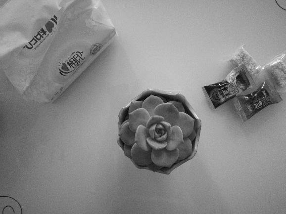 upload_2017-4-27_11-37-18.jpeg