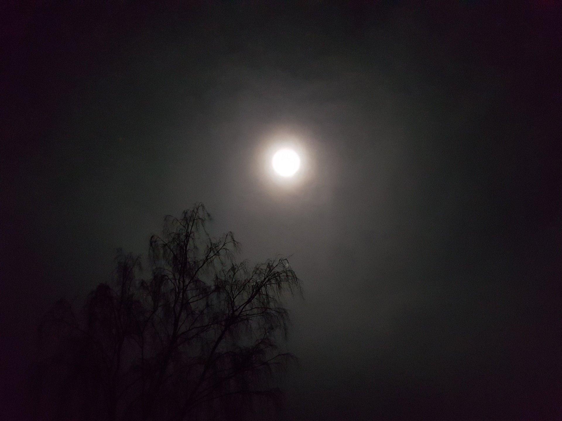 Vollmond 11.2.17.jpg
