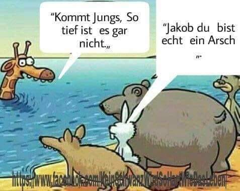 whatsapp-image-2018-07-17-at-22-56-24-jpeg.647116