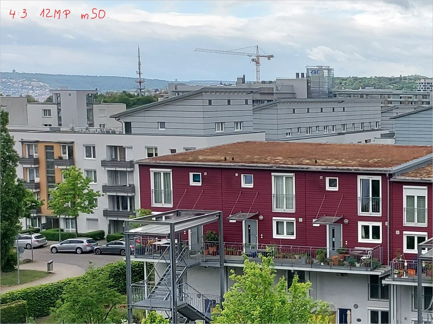 zPic1.JPG