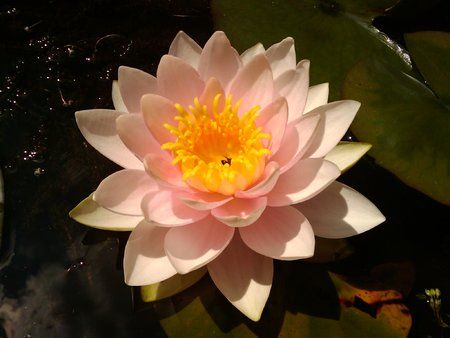 2009-07-05 14.08.05.jpg