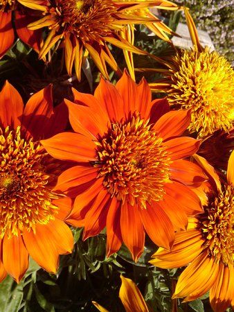 2009-07-05 14.10.11.jpg