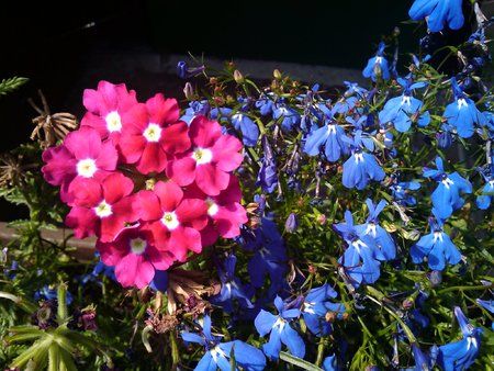 2009-07-05 14.10.22.jpg