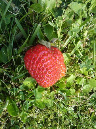 2009-07-05 14.11.32.jpg