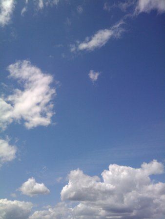 2009-05-28 14.00.52.jpg