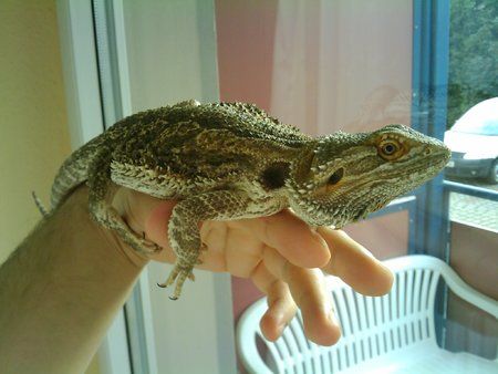 2009-07-09 19.57.10.jpg