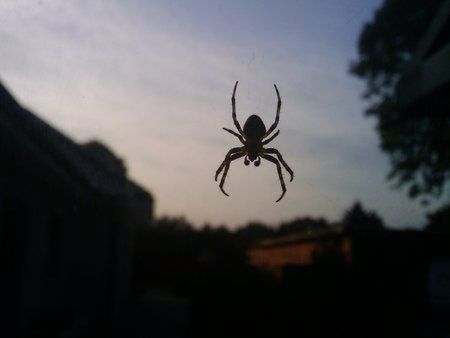 2009-08-14 20.10.21.jpg