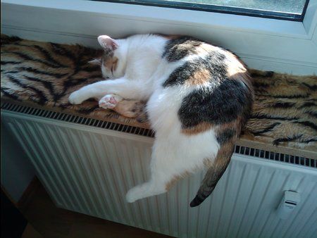 20-10-2009 15.57.28.jpg