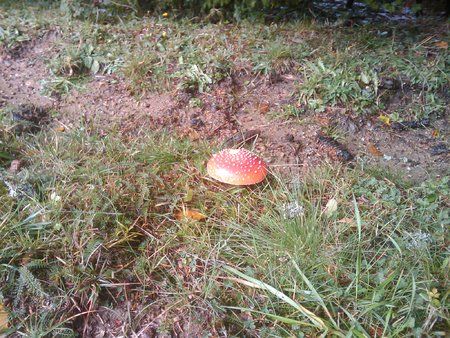 2009-10-13 13.33.39.jpg