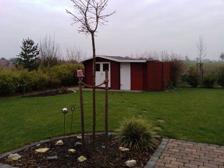 2009-12-15 13.36.24.jpg