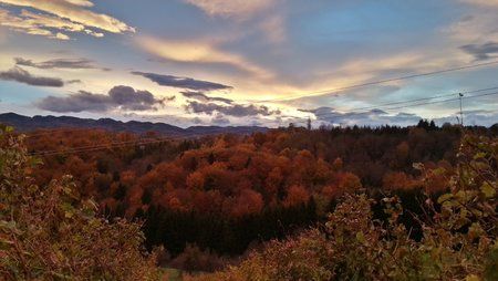 20121104_164143_HDR.jpg