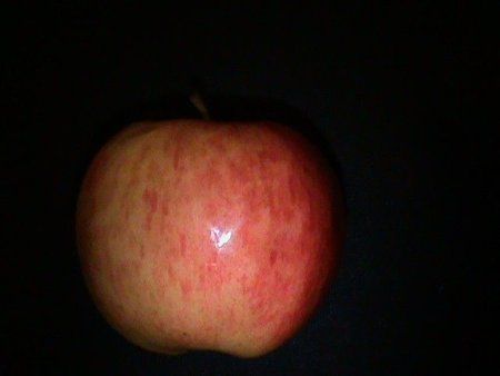 DSC00052.JPG