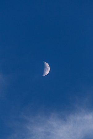 pexels-free-nature-stock-1564304.jpg
