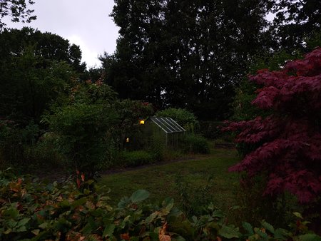 20230724_215404.JPG