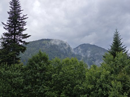 IMG_20230725_122121.jpg