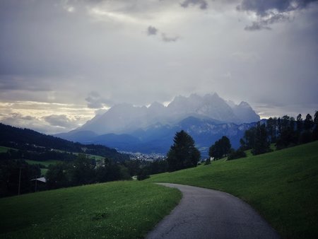 IMG_20230725_190530-01.jpeg