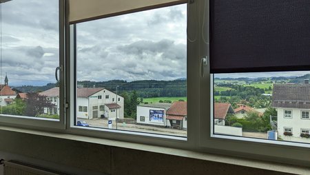 PXL_20230726_110020856.MP.jpg