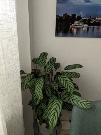 PXL_20230728_110130091.jpg
