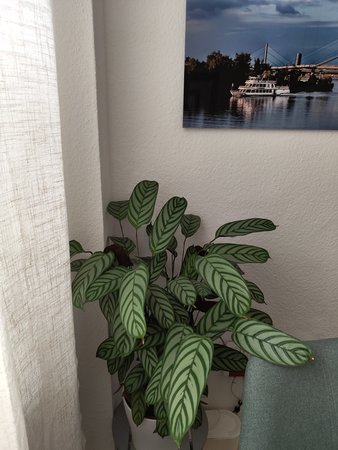 IMG_20230728_130124752.jpg