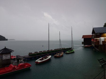 20230728_195009.JPG