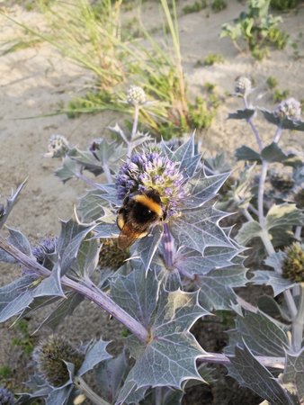 IMG_20230728_193809.jpg