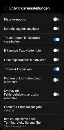 Entwickler Einstellungen.jpg