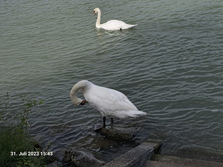 20230731_154313.jpg