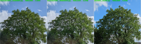 1690900803271.png