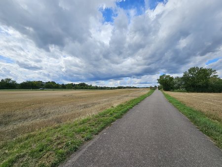 20230801_155601.jpg
