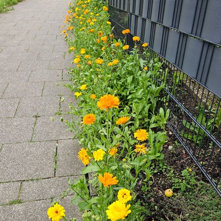 20230801_194000.jpg