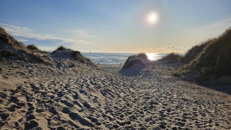 downloadfile(1).jpg