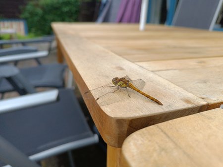 IMG20230802130935.jpg