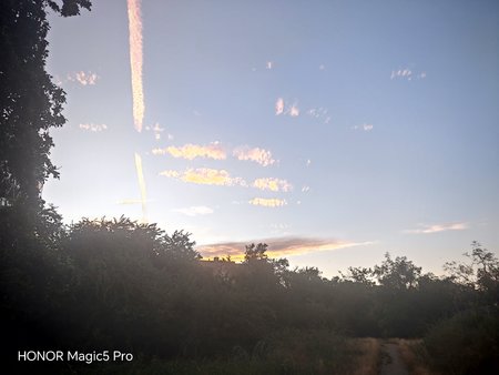 IMG_20230802_203322.jpg