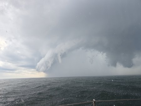 IMG_20230729_130506.jpg