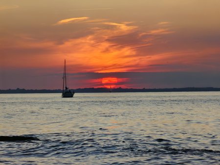 IMG_20230728_210812.jpg