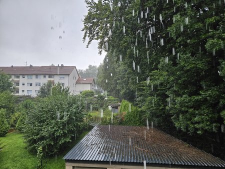 20230803_165412.jpg