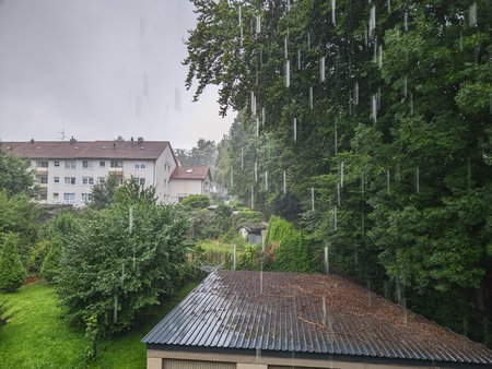 GCam20230803_165420521.jpg