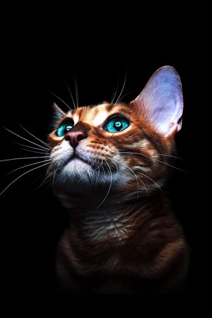 uhdanimals397.jpg