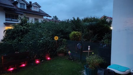 IMG_20230804_211316594.jpg